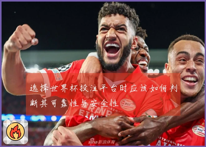 选择世界杯投注平台时应该如何判断其可靠性与安全性