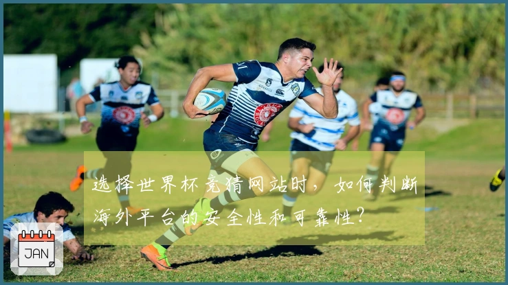 选择世界杯竞猜网站时，如何判断海外平台的安全性和可靠性？
