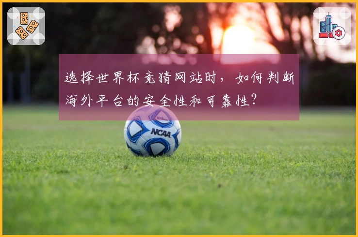 选择世界杯竞猜网站时，如何判断海外平台的安全性和可靠性？