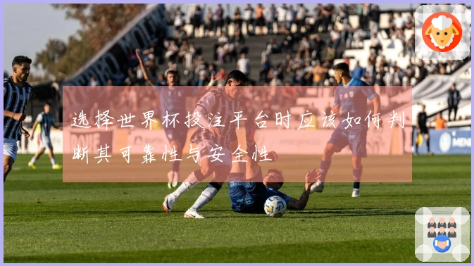 选择世界杯投注平台时应该如何判断其可靠性与安全性
