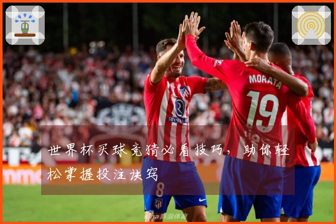 世界杯买球竞猜必看技巧，助你轻松掌握投注诀窍