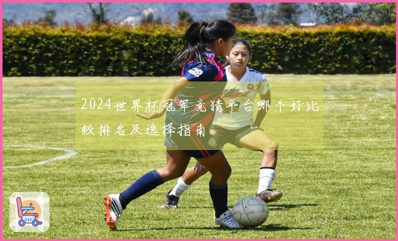 2024世界杯冠军竞猜平台哪个好比较排名及选择指南
