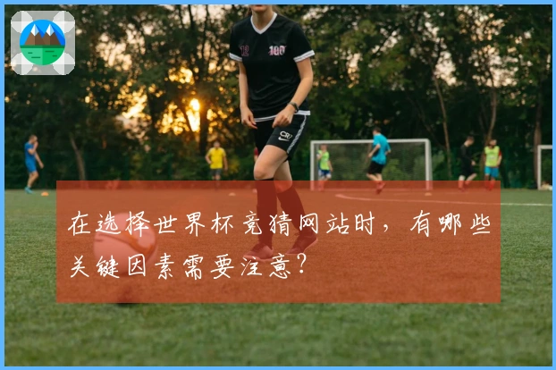 在选择世界杯竞猜网站时，有哪些关键因素需要注意？