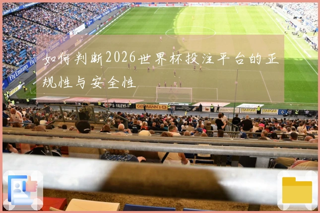 如何判断2026世界杯投注平台的正规性与安全性