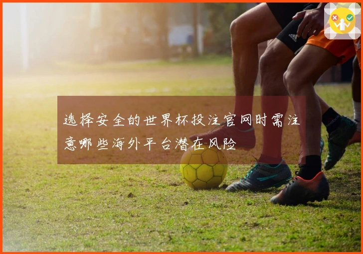 选择安全的世界杯投注官网时需注意哪些海外平台潜在风险