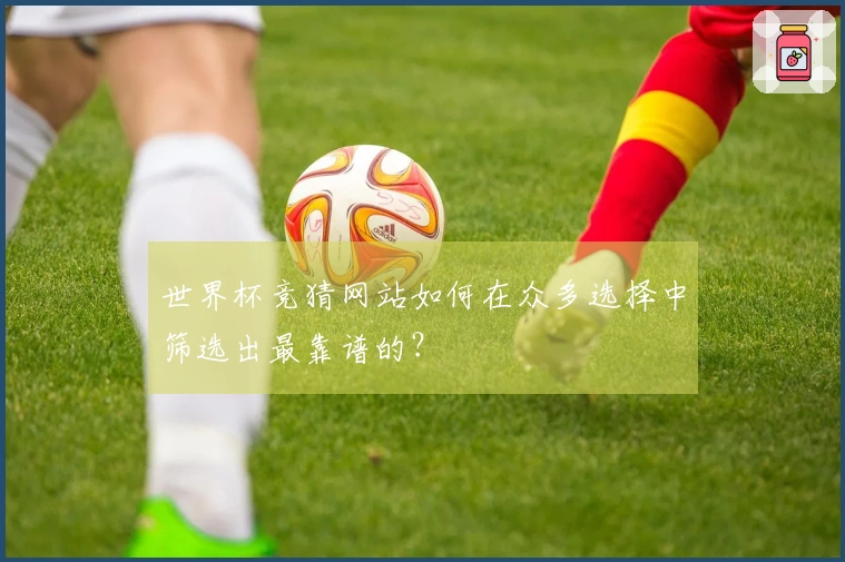 世界杯竞猜网站如何在众多选择中筛选出最靠谱的？
