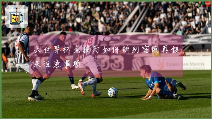 买世界杯竞猜时如何辨别官网真假及注意事项