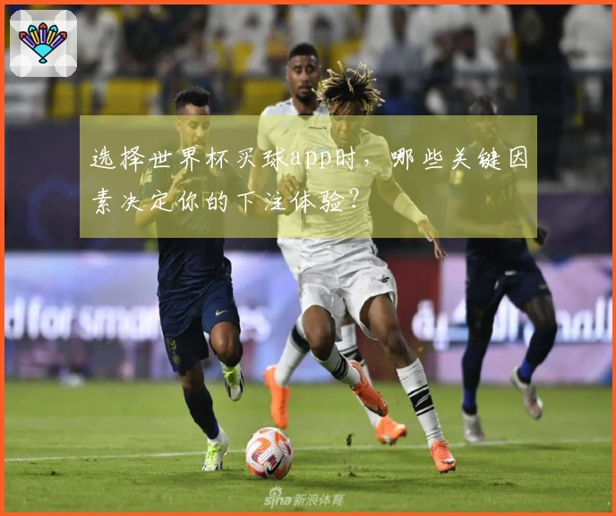 选择世界杯买球app时，哪些关键因素决定你的下注体验？