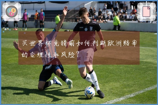 买世界杯竞猜前如何判断欧洲赔率的合理性和风险？