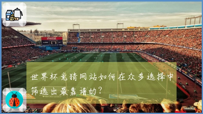 世界杯竞猜网站如何在众多选择中筛选出最靠谱的？