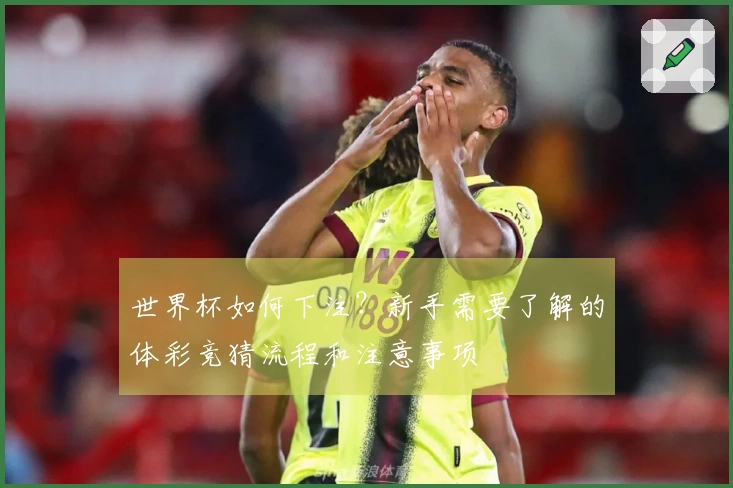 世界杯如何下注？新手需要了解的体彩竞猜流程和注意事项
