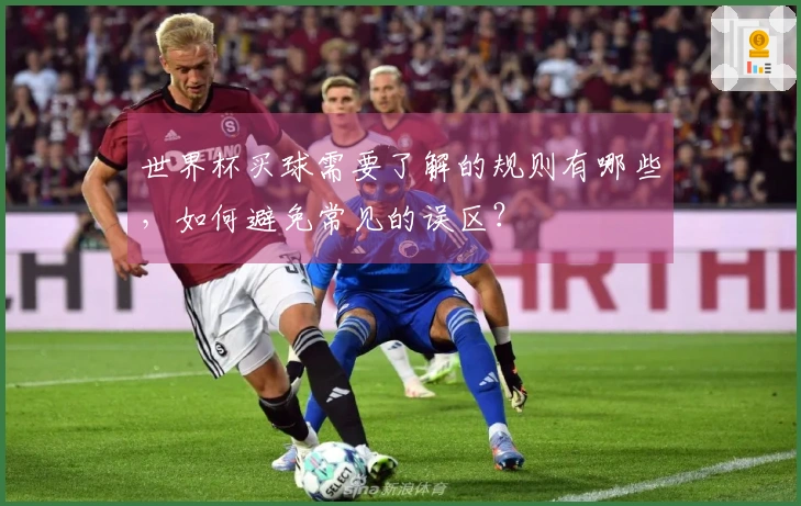 世界杯买球需要了解的规则有哪些，如何避免常见的误区？
