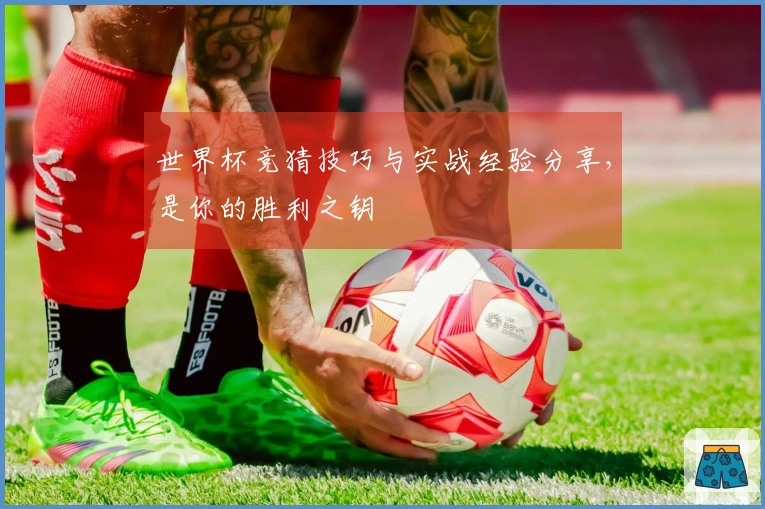 世界杯竞猜技巧与实战经验分享，是你的胜利之钥