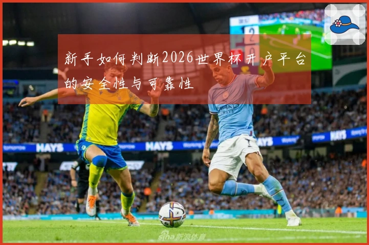 新手如何判断2026世界杯开户平台的安全性与可靠性