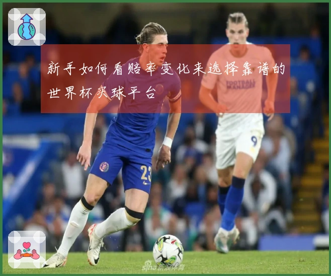 新手如何看赔率变化来选择靠谱的世界杯买球平台
