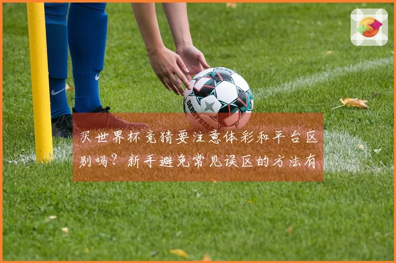 买世界杯竞猜要注意体彩和平台区别吗？新手避免常见误区的方法有哪些