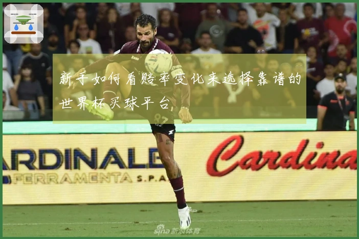 新手如何看赔率变化来选择靠谱的世界杯买球平台