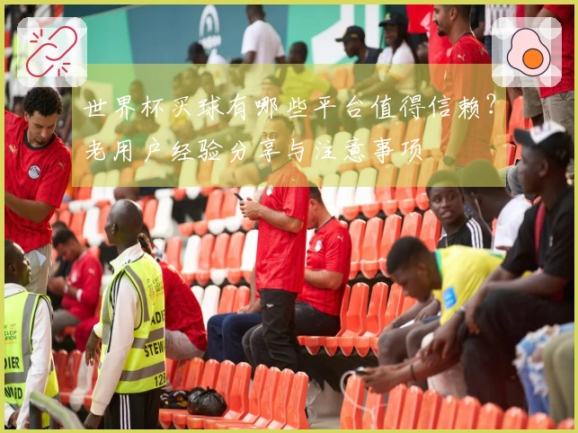 世界杯买球有哪些平台值得信赖？老用户经验分享与注意事项